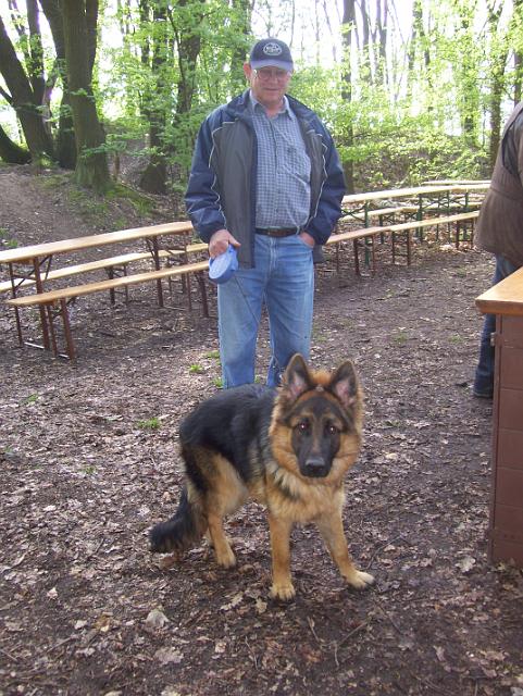 Steinkuhle 2008 (3).JPG